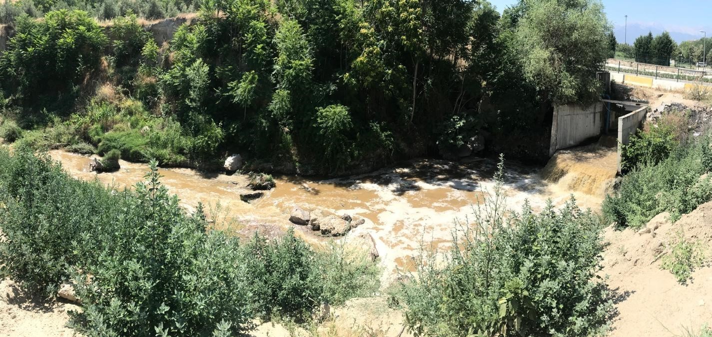 Ürünü kuruyan çiftçiden Denizli Belediyesi’ne çağrı: 