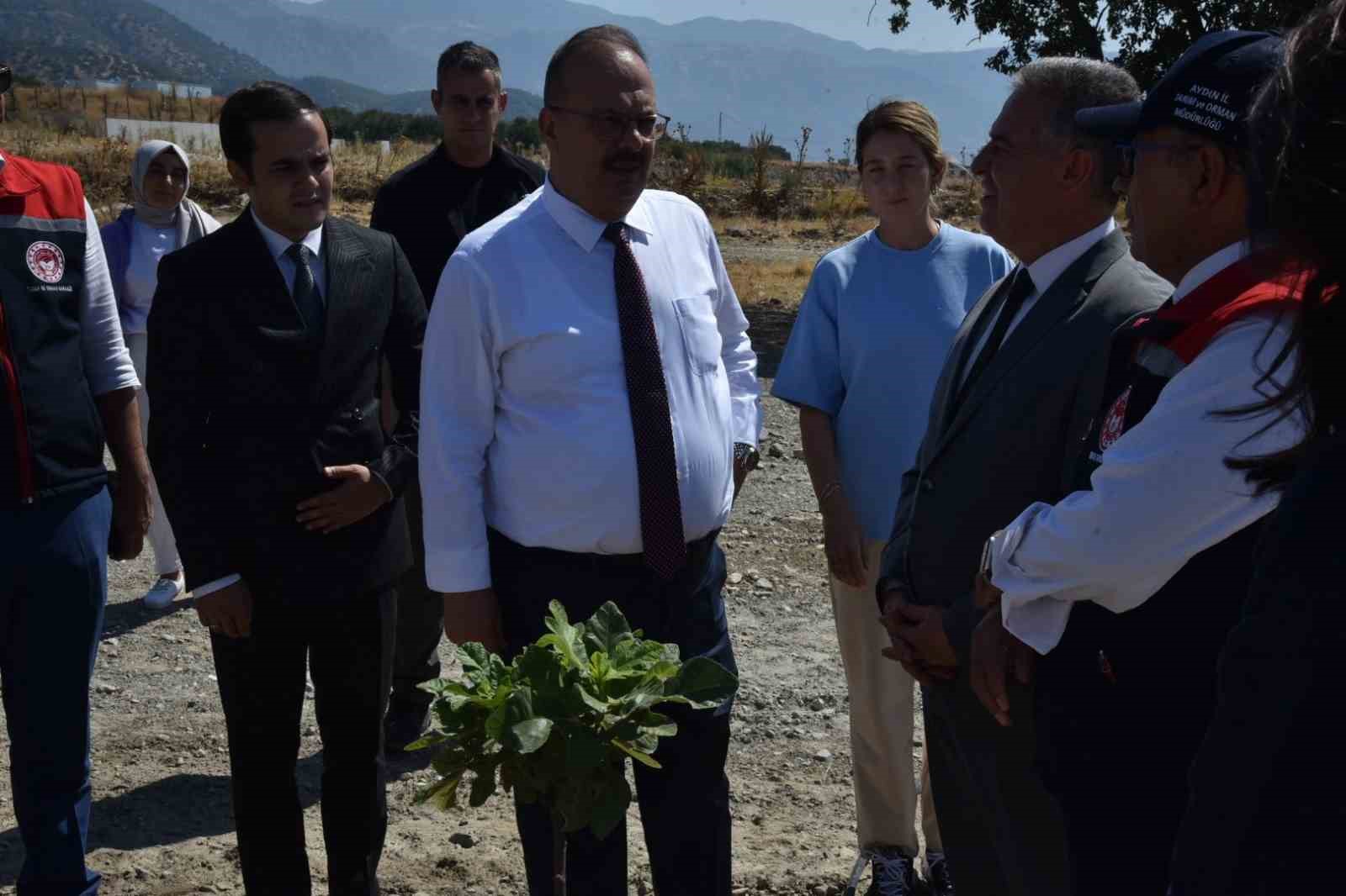 Vali Canbolat incir hasadına katıldı 