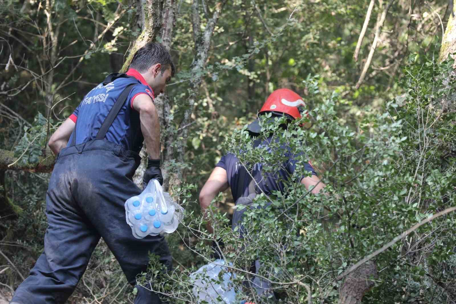 Sakarya’daki yangınlardan 2’si kontrol altında, Geyve’ye müdahale sürüyor 