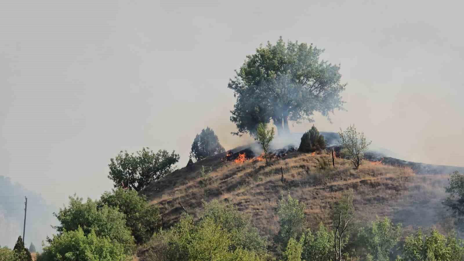 Karabük’te ikinci yangın: Evler ve seralar zarar gördü 