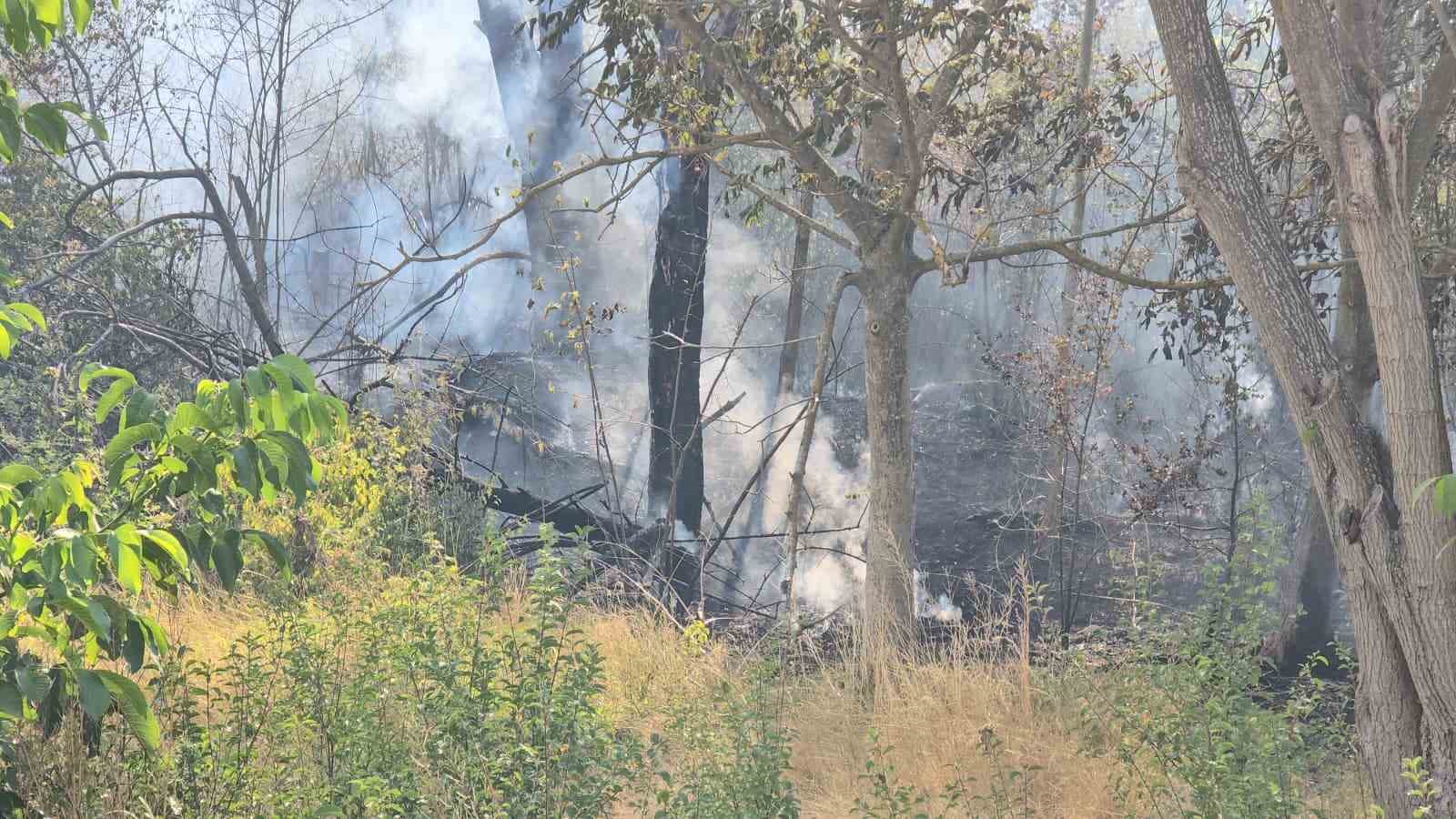 Karabük’te ikinci yangın: Evler ve seralar zarar gördü 