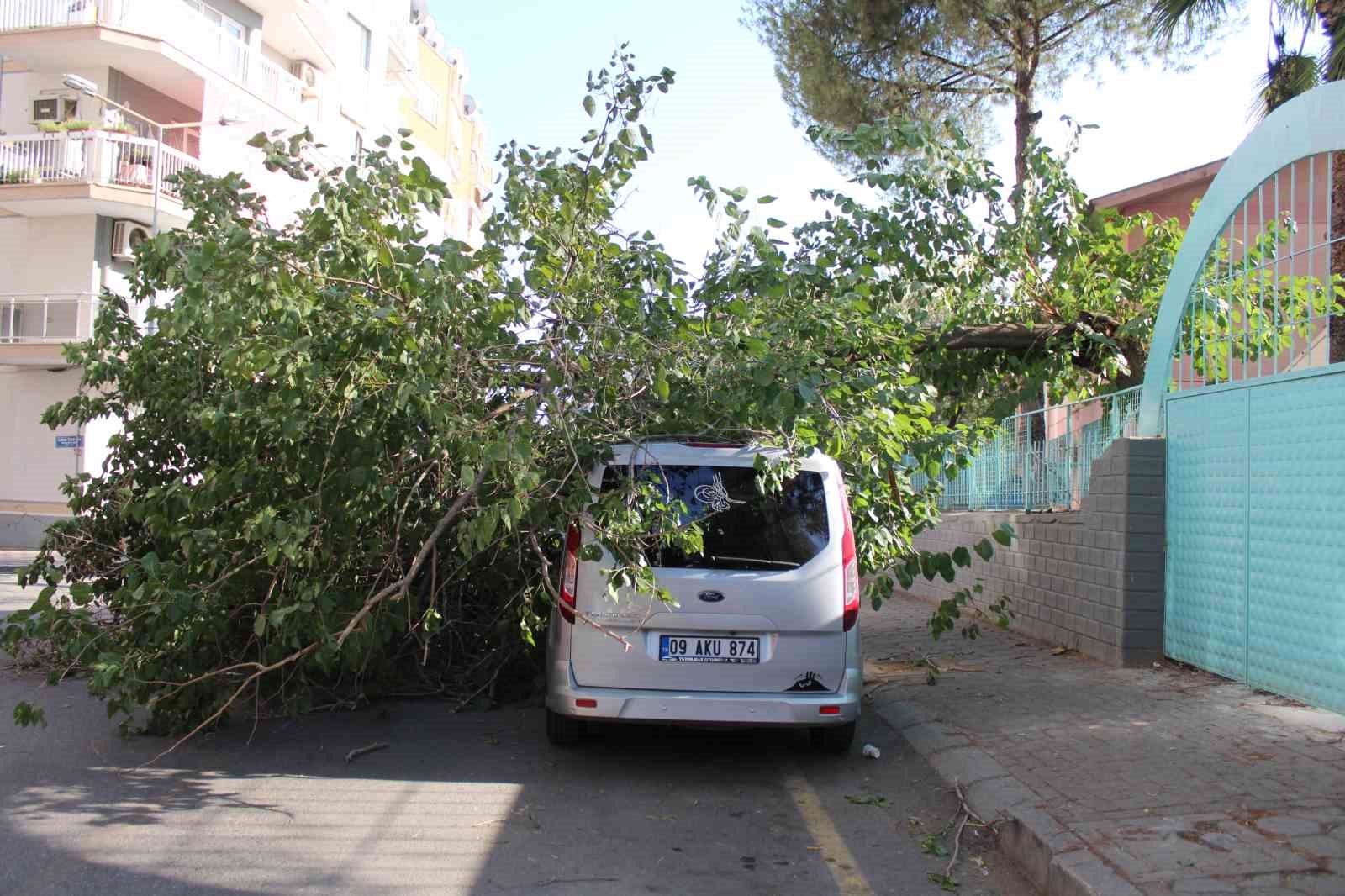 Park halindeki araca ağaç devrildi 