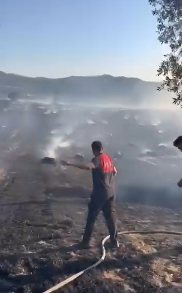 Yalova’da tarlada çıkan yangında yüzlerce saman balyası kül oldu 