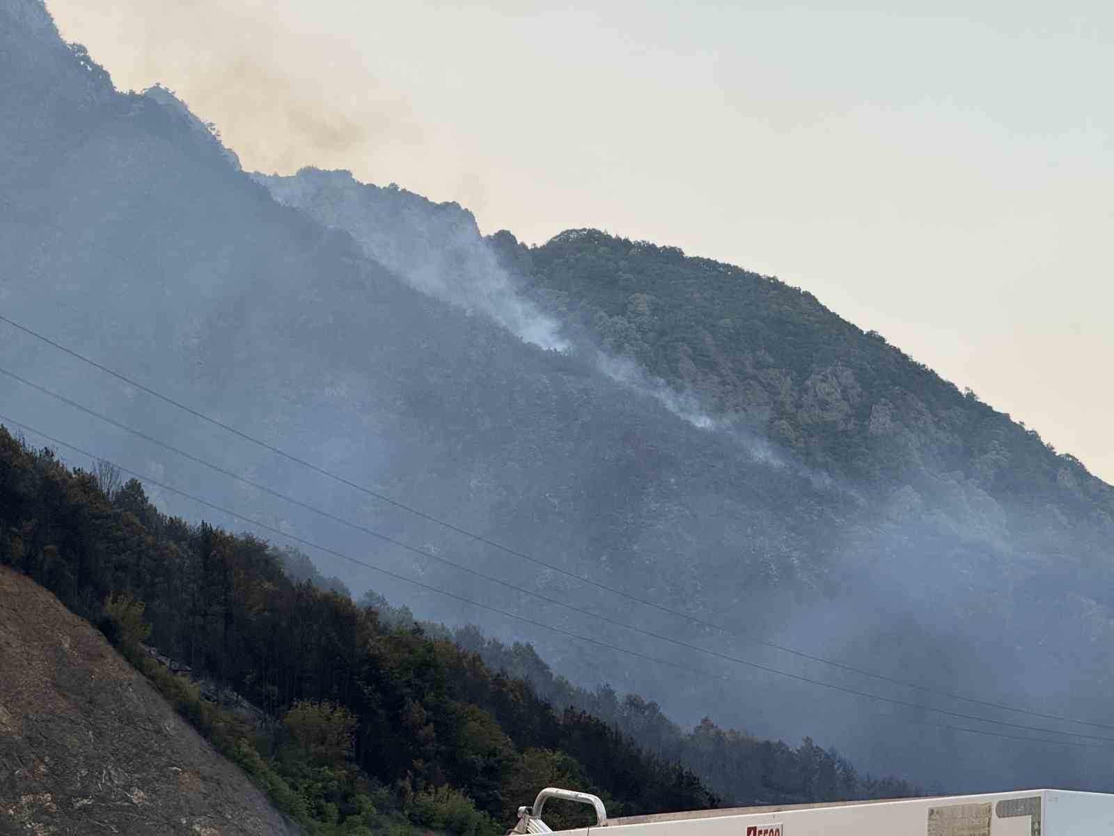 Sakarya’daki orman yangını kısmen kontrol altına alındı 