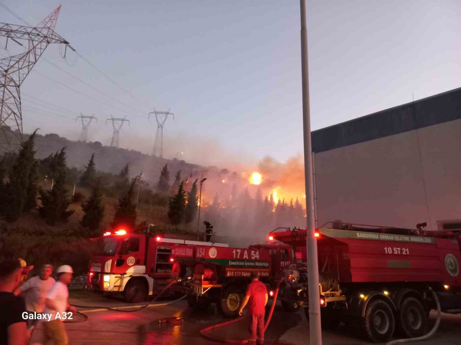 Bandırma OSB yakınlarındaki arazi yangını söndürüldü 