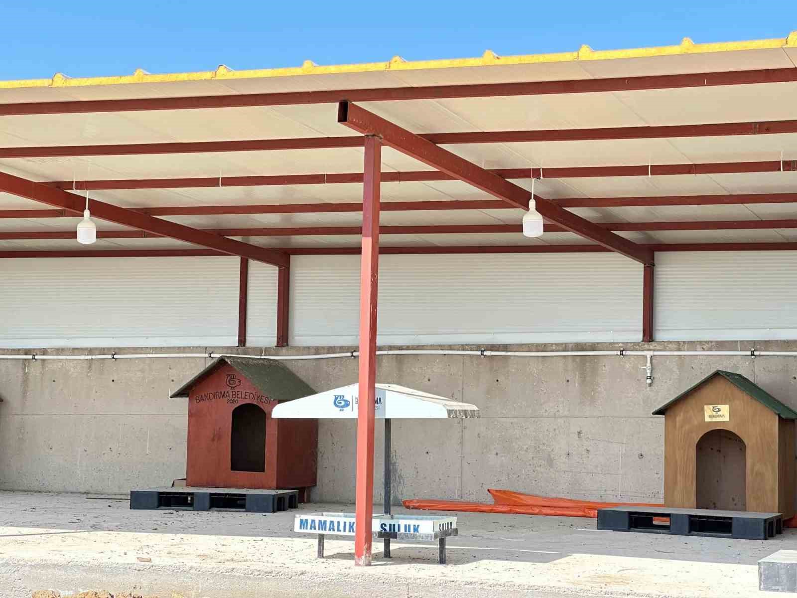 Bandırma Belediyesi’nden sokak hayvanları için yeni yaşam alanı çalışması 