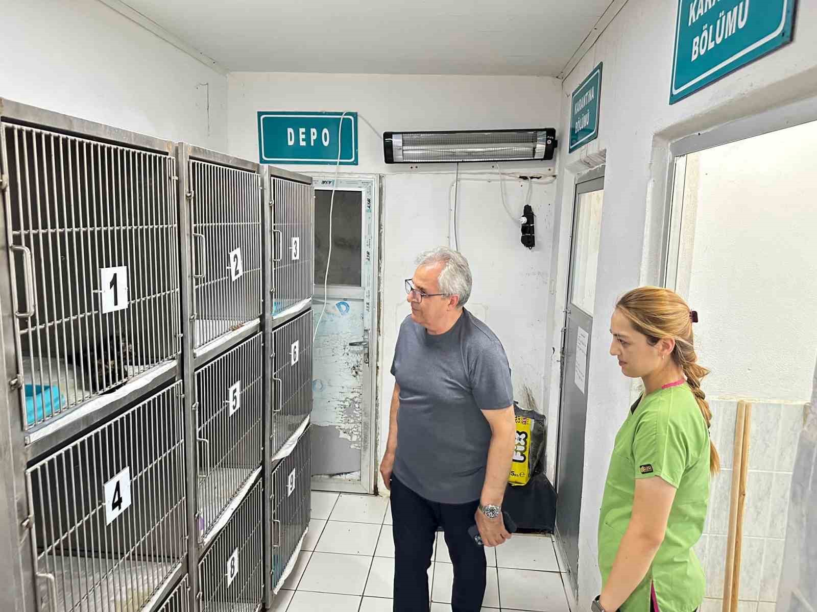 Bandırma Belediyesi’nden sokak hayvanları için yeni yaşam alanı çalışması 