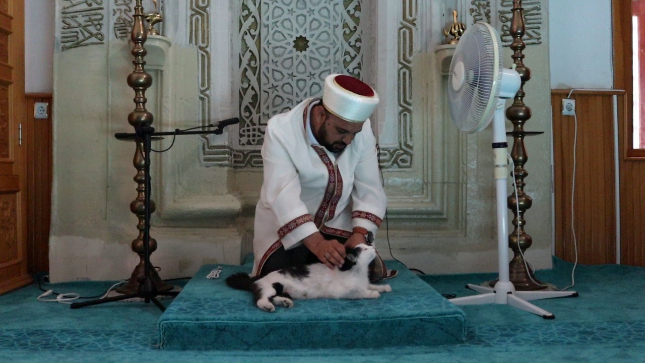 Kedi yavruları ile camiye sığındı 