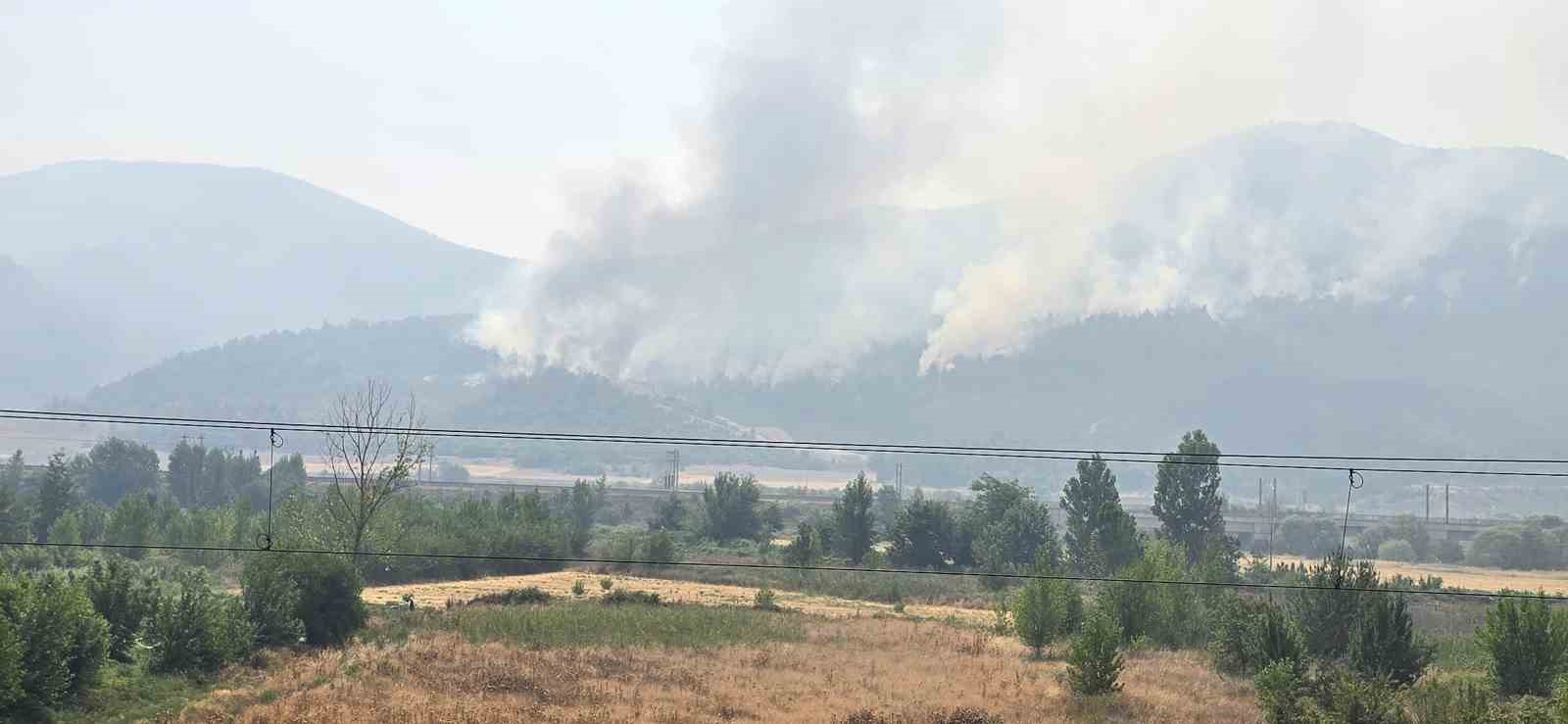 Bilecik’te alevler yeniden yükseldi, zeytinliği yanan köylü o anları anlattı 