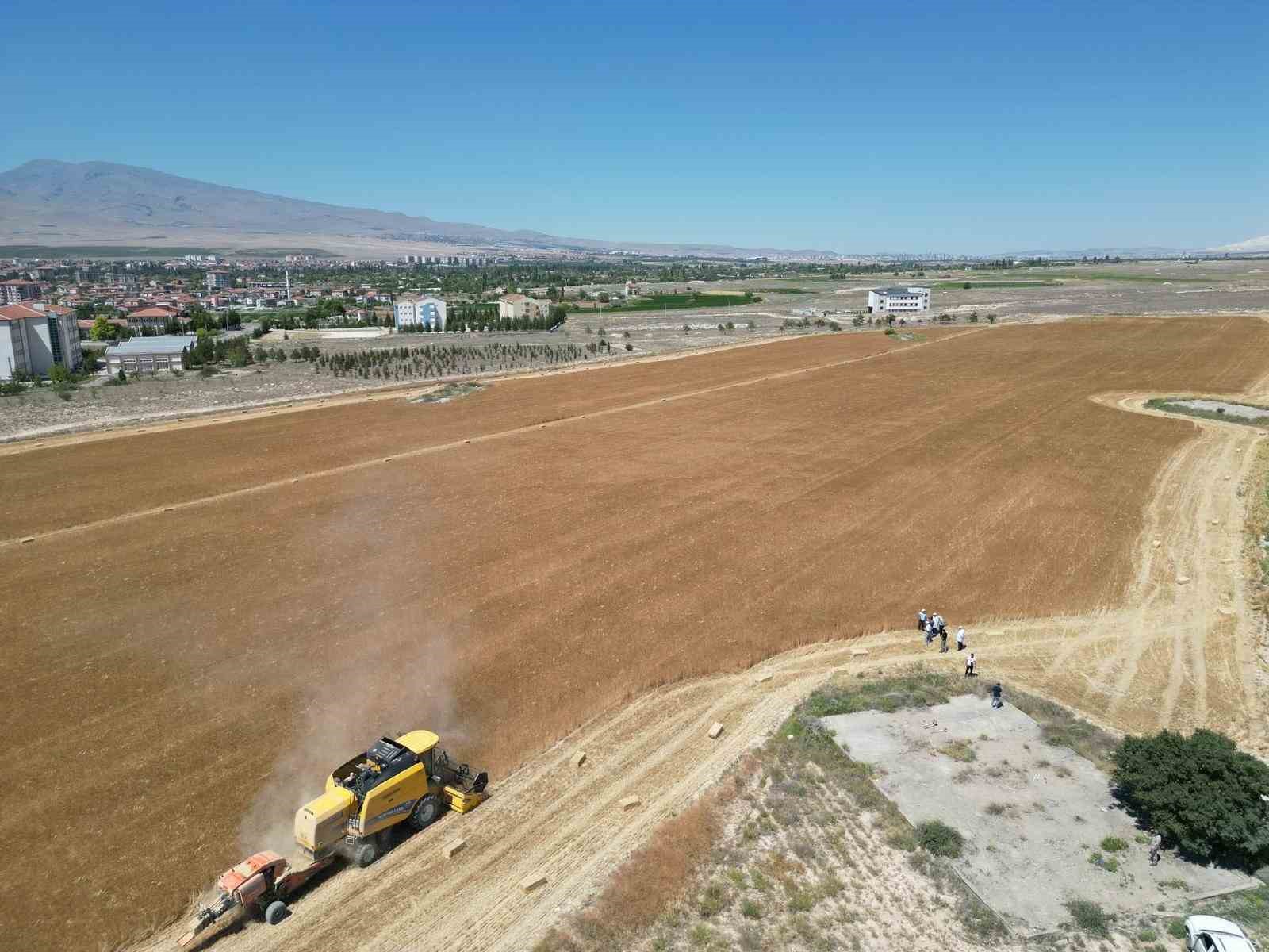 NÖHÜ’de 300 dekar arazide arpa ve buğday hasadı başladı 