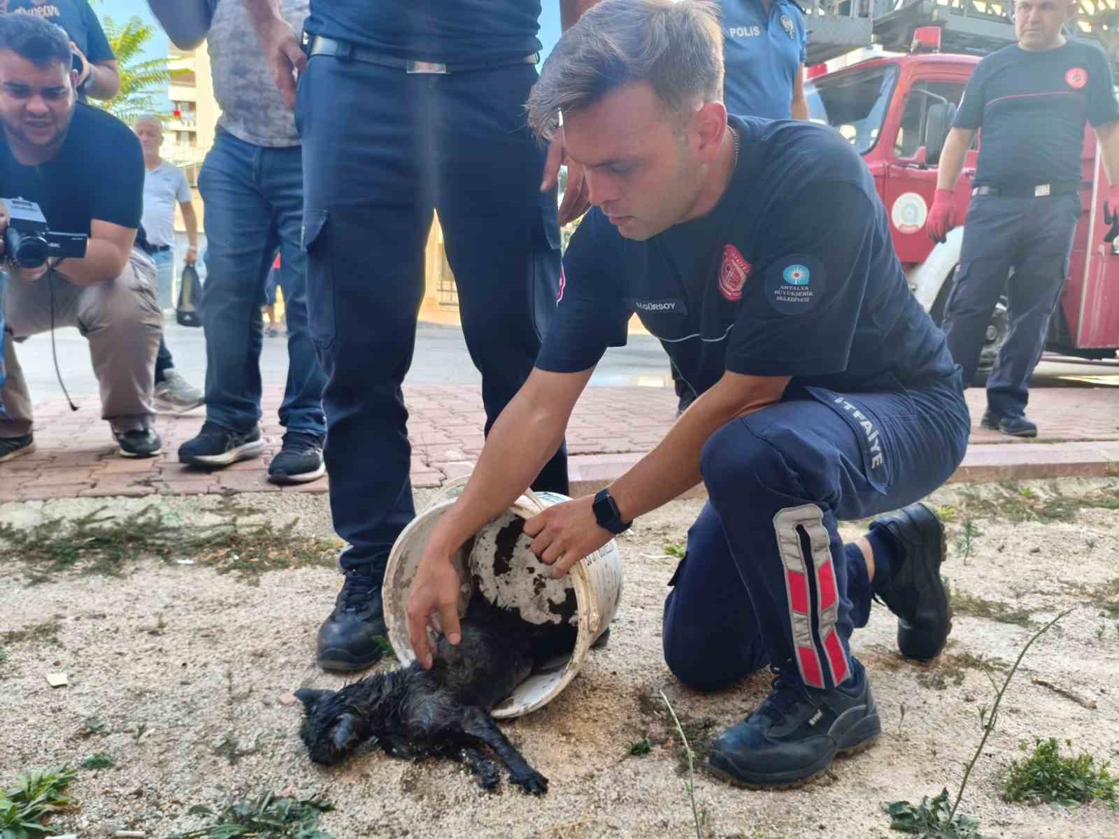 Kedisi içerdeyken evi evi yanan Ukraynalı kadın yaşadığı şoku anlattı 