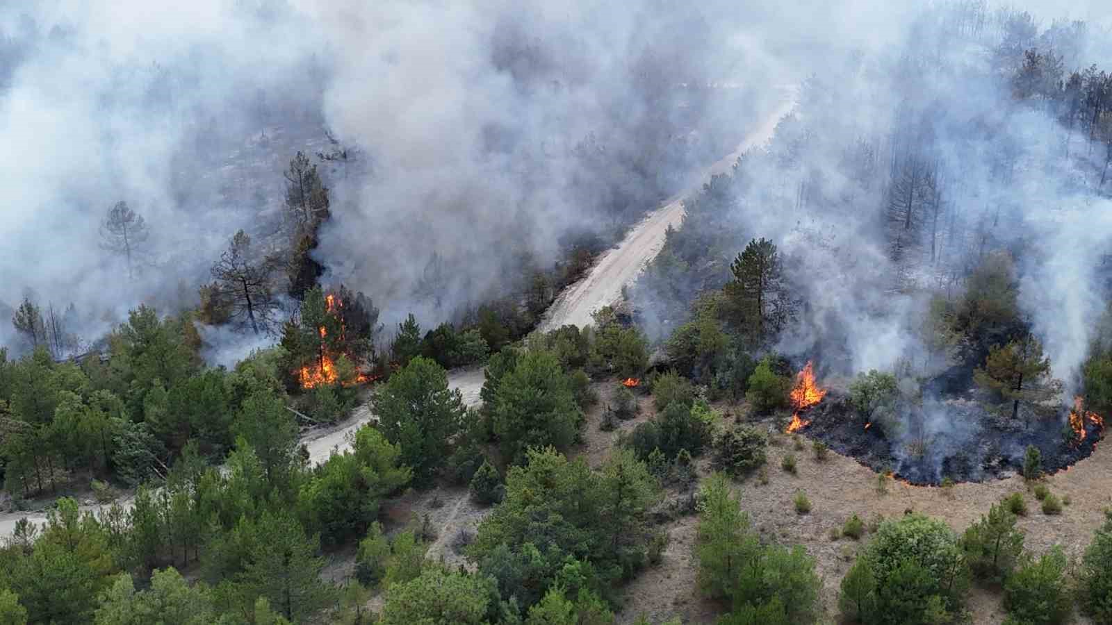 Orman yangınında alevler yerleşim yerlerine doğru ilerliyor 