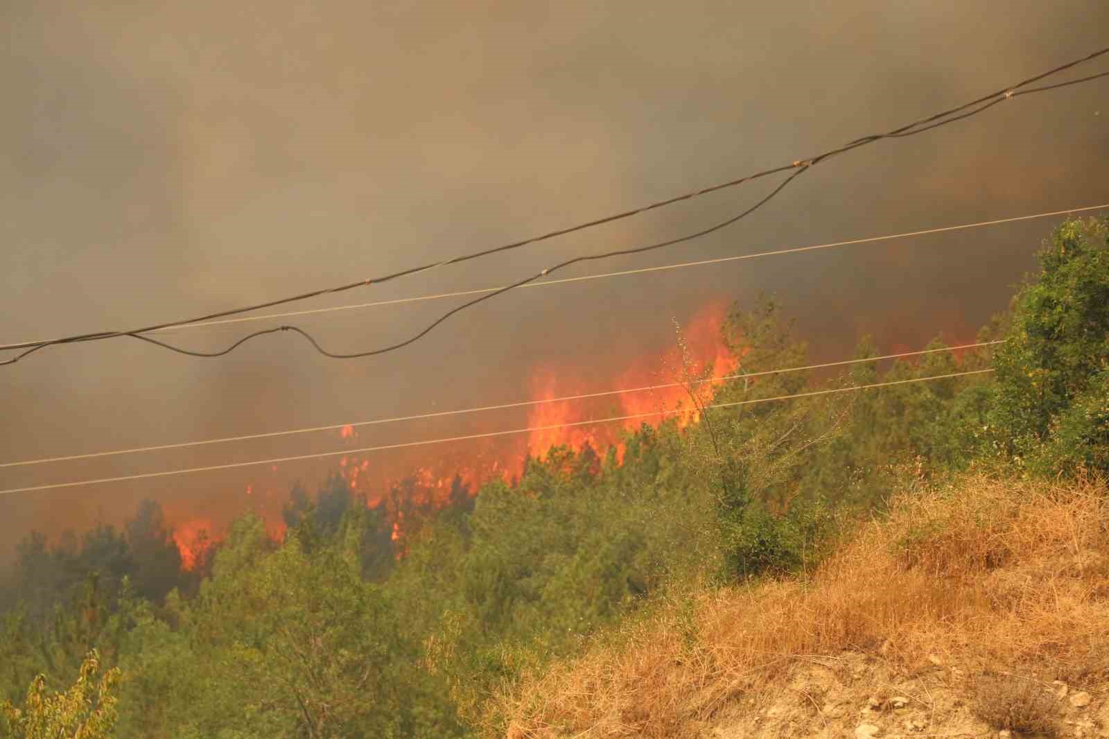 Karabük’te 29 saattir süren orman yangını yeniden alevlendi 