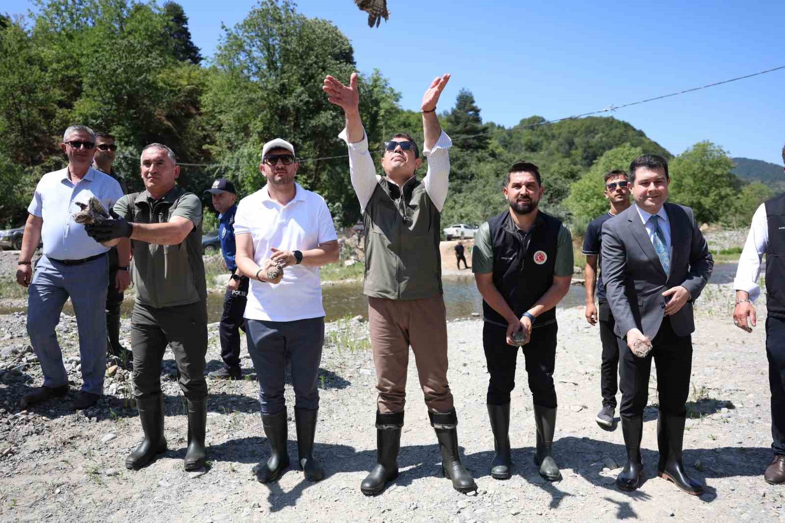 Düzce’de 20 bin benekli alabalık salındı 