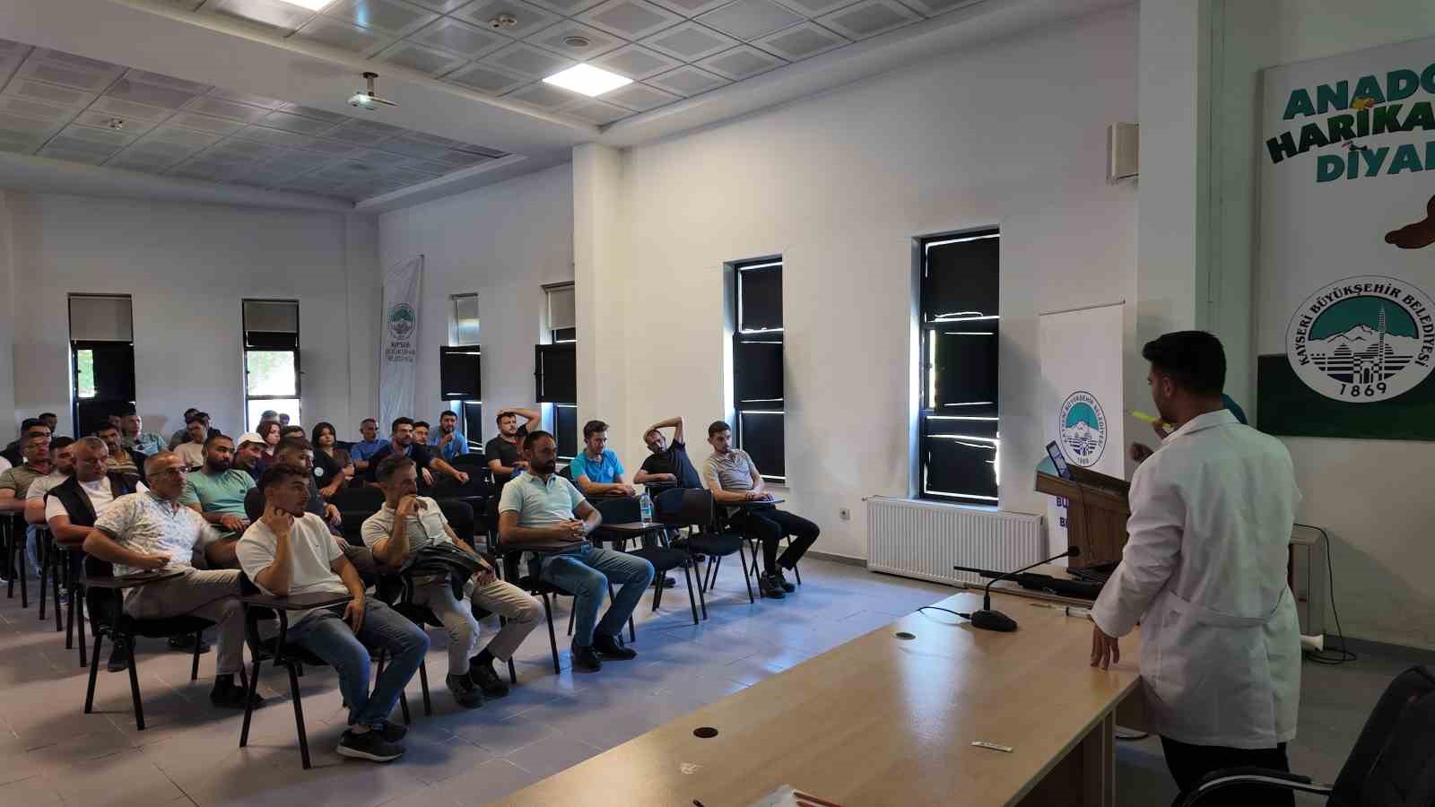 İlçe belediyelerine sokak hayvanlarını toplama eğitimi ve mama desteği 