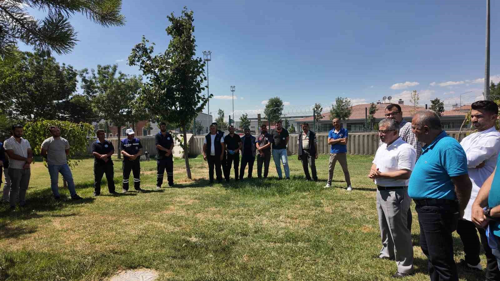 İlçe belediyelerine sokak hayvanlarını toplama eğitimi ve mama desteği 