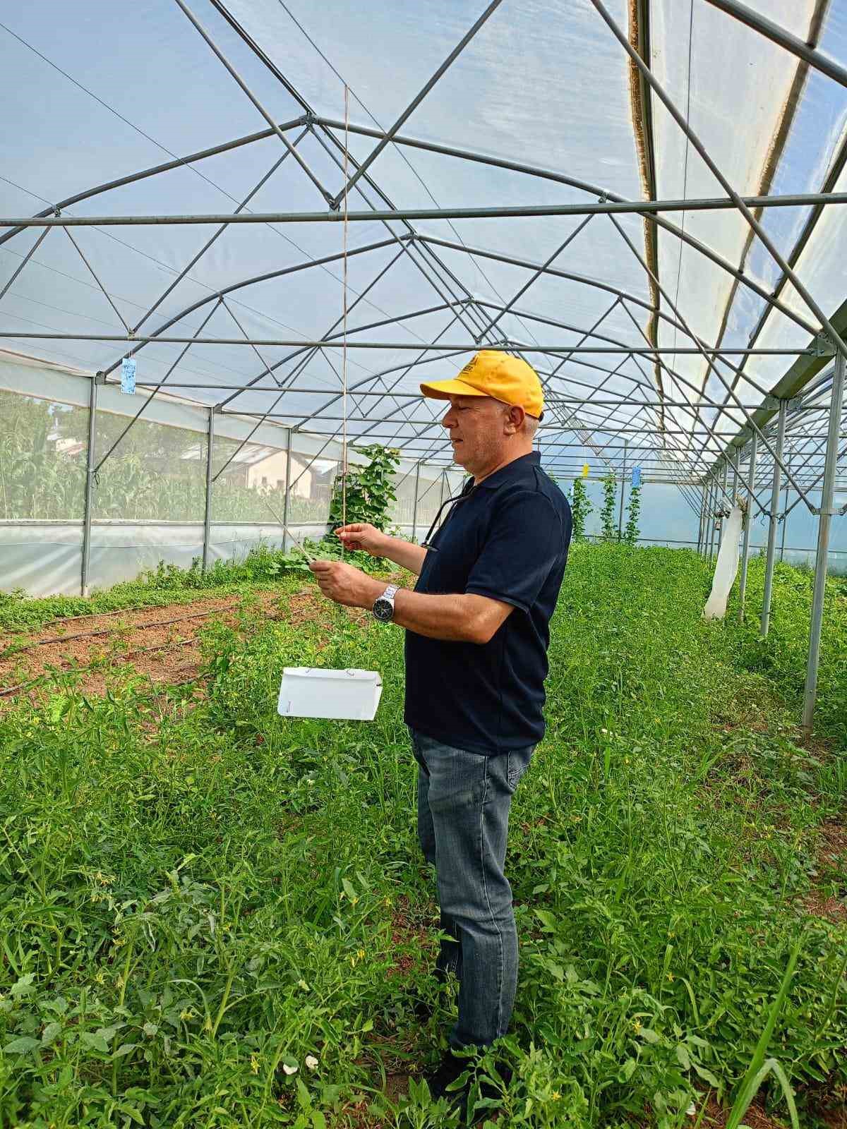 Beyşehir’de patates ekili alanlarda zararlı alarmı 