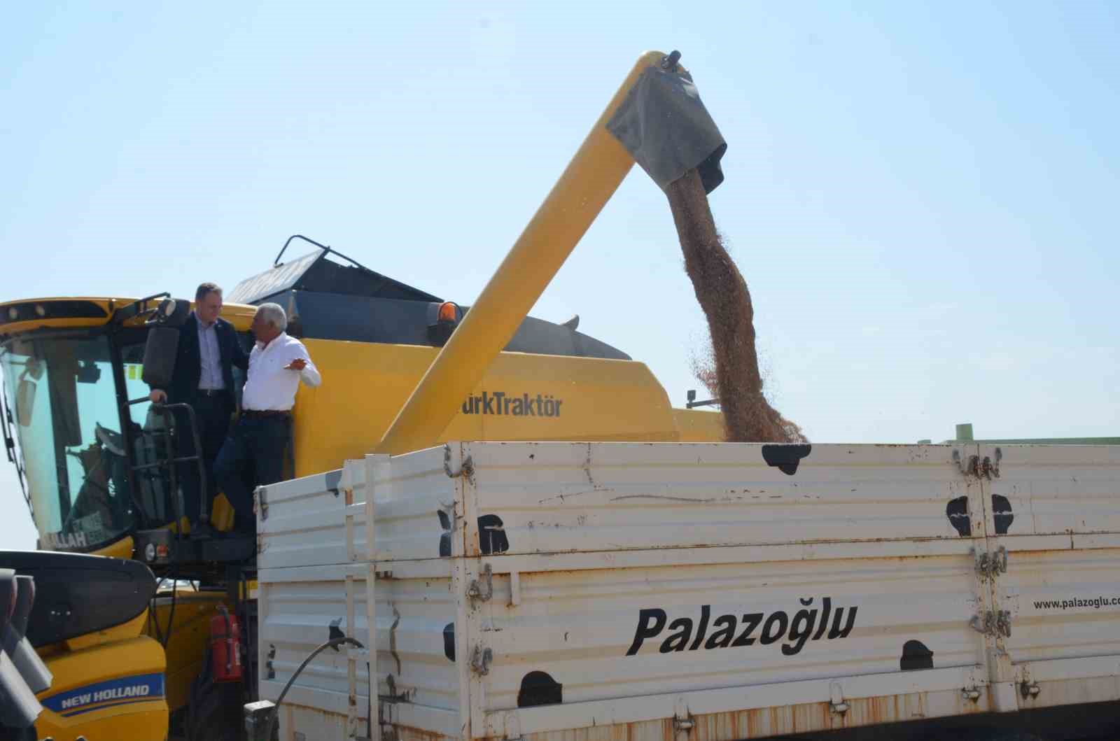 Bulanık’ta hububat hasadı başladı 