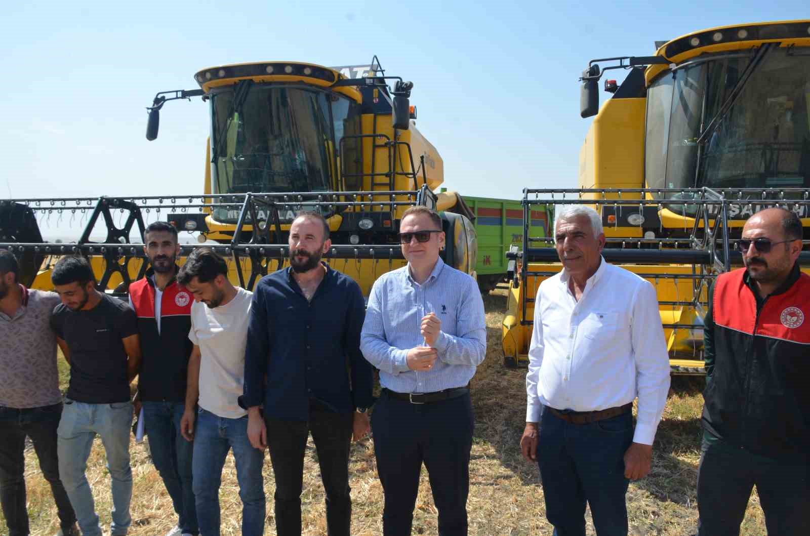 Bulanık’ta hububat hasadı başladı 