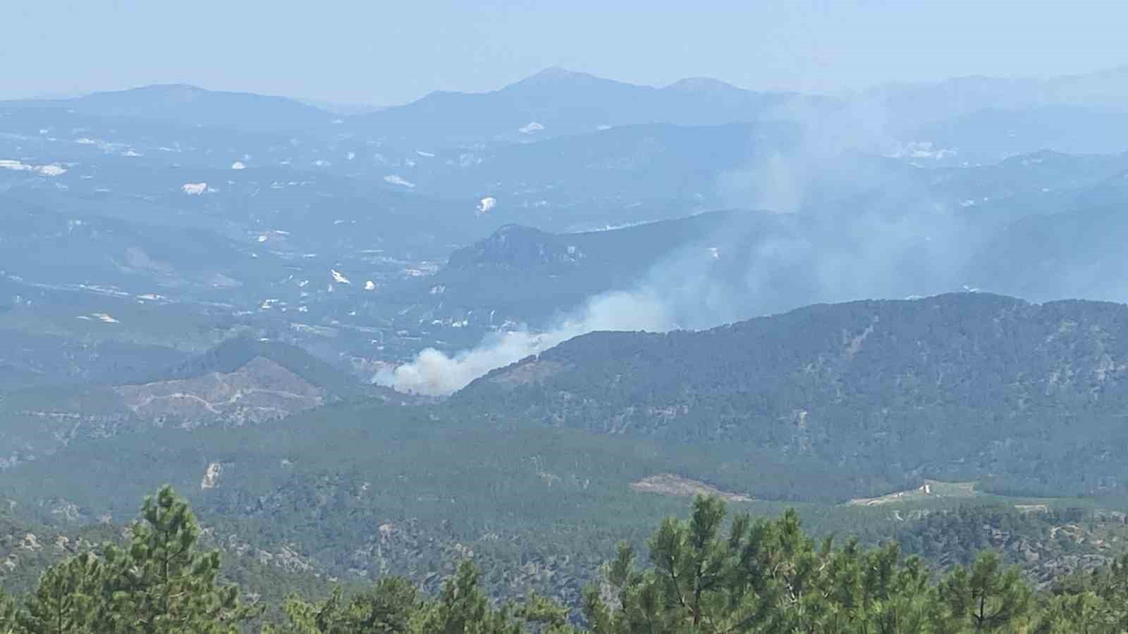 Denizli’de orman yangını 
