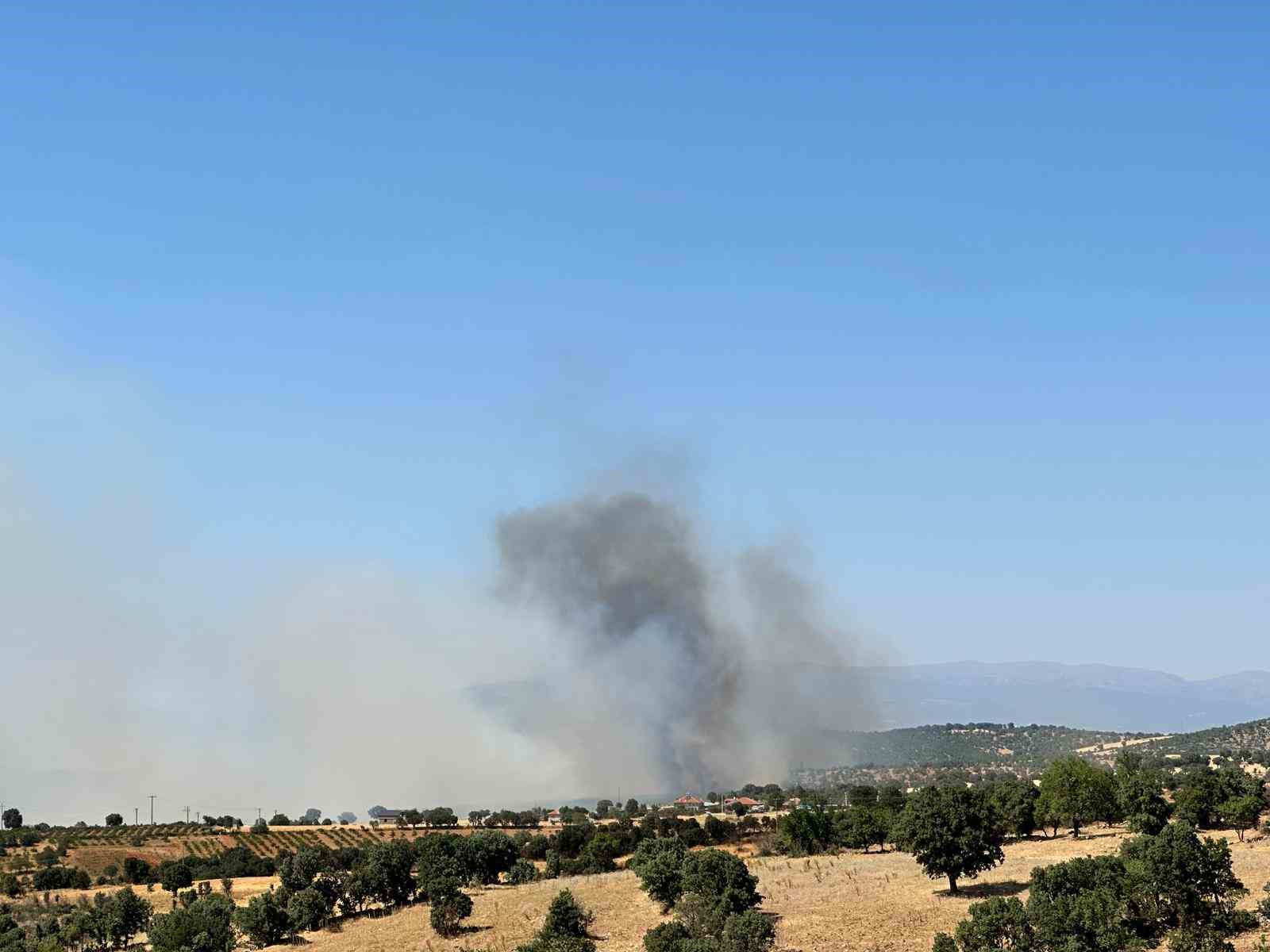 Uşak’ta meşelik alanda yangın çıktı 