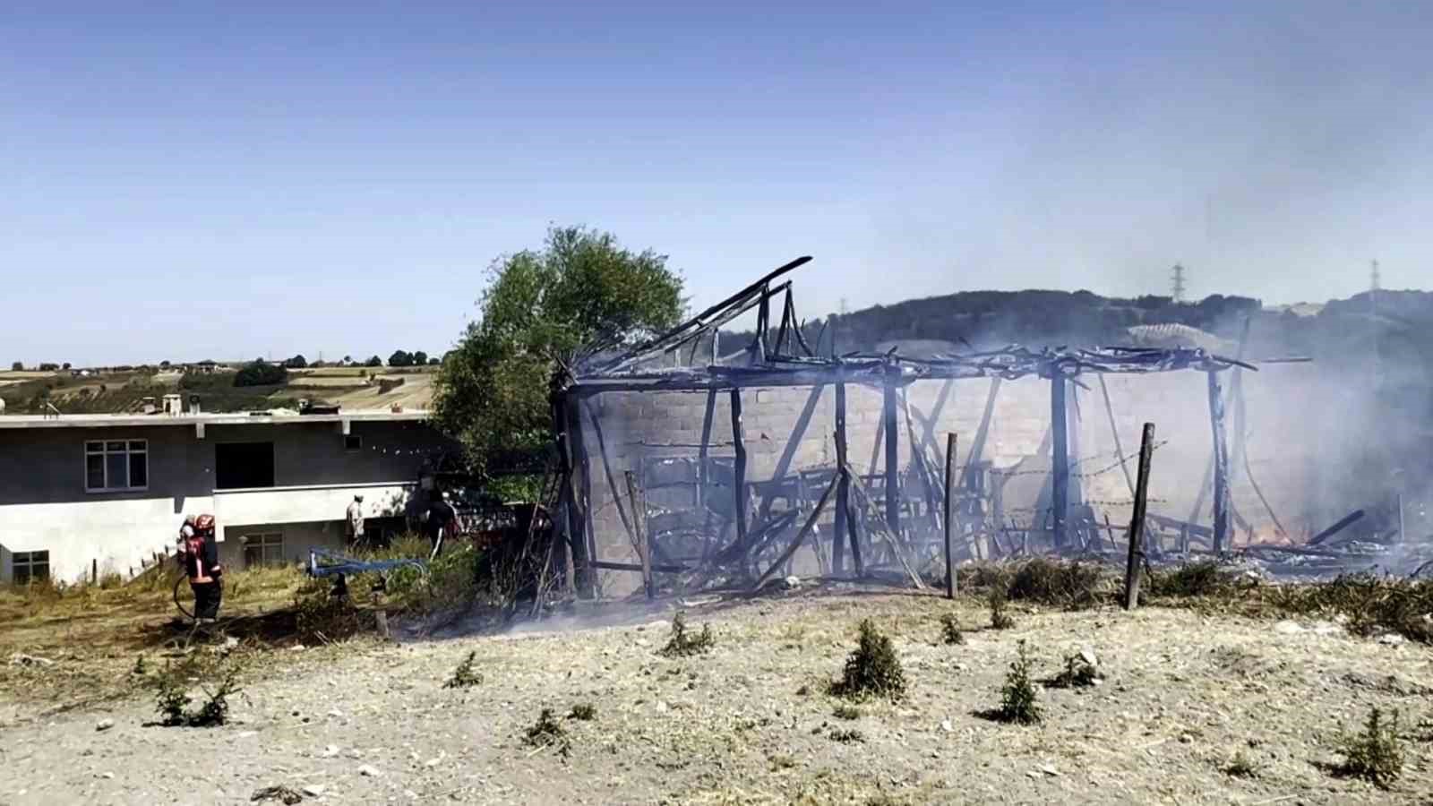 Sakarya’da saman deposunda çıkan yangın tarım arazilerine sıçradı 