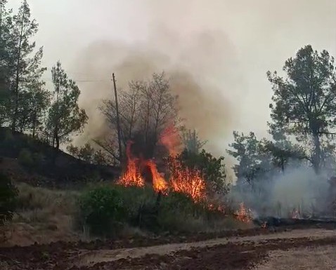 Denizli’de boş evde çıkan yangın ormana sıçradı 