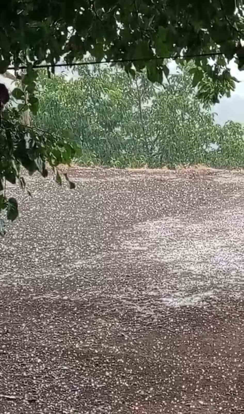 Karakoçan’da dolu yağışı 