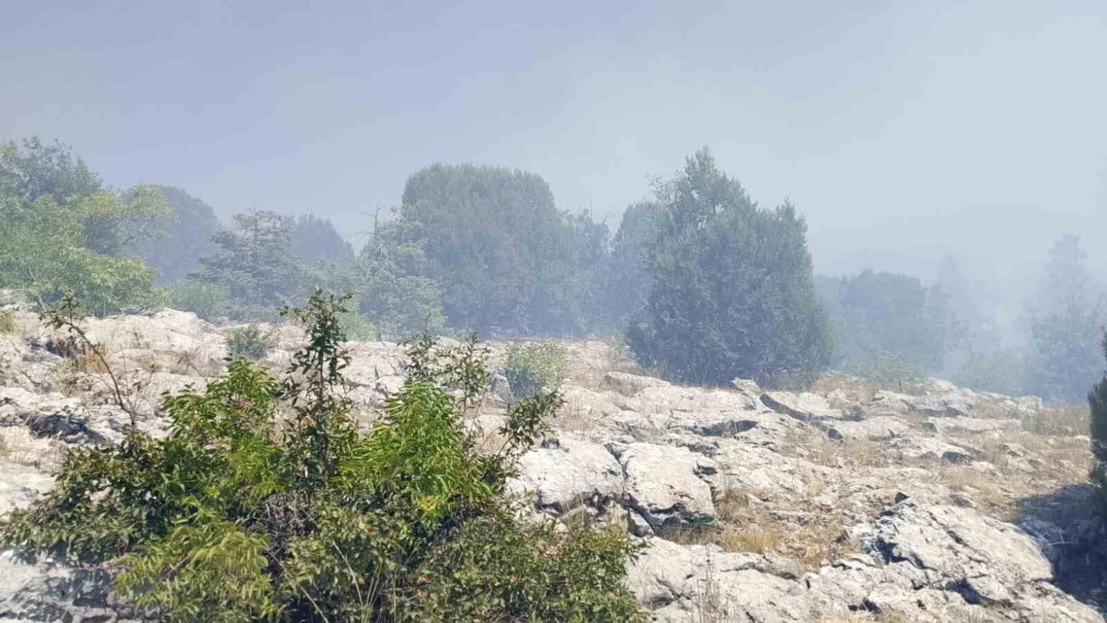 Çöplükte başlayan yangın ormana sıçradı 