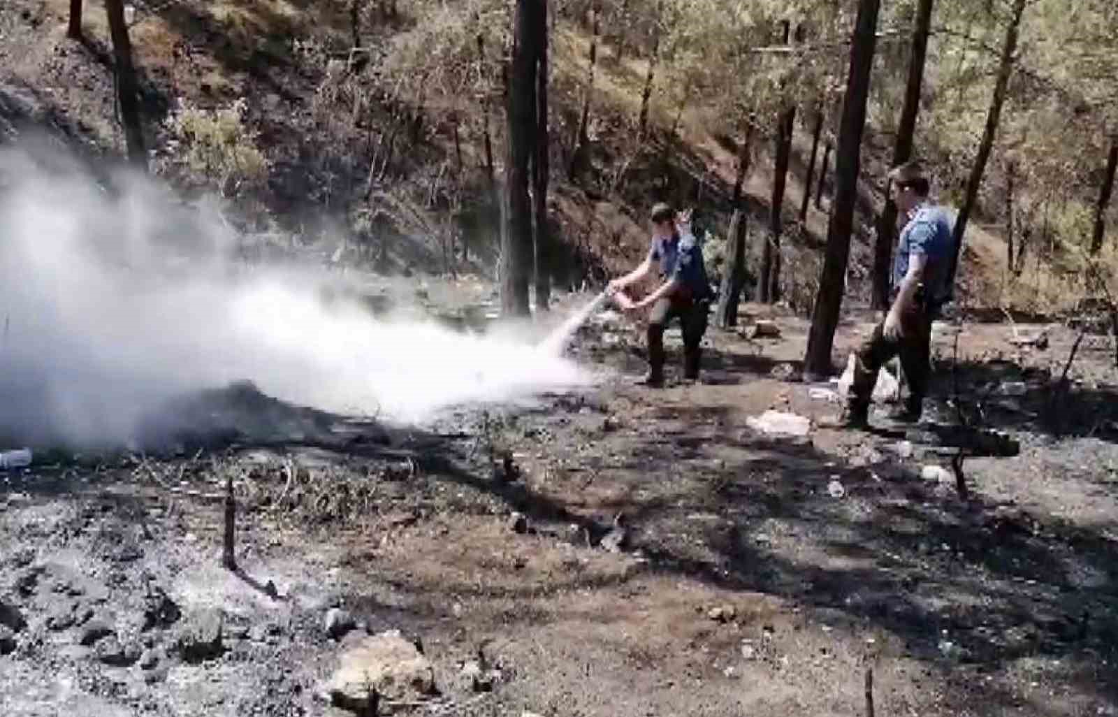 Geyve’de 5 gün sonra aynı nokta yeniden alevlendi: Yangına ilk müdahaleyi polisler yaptı 