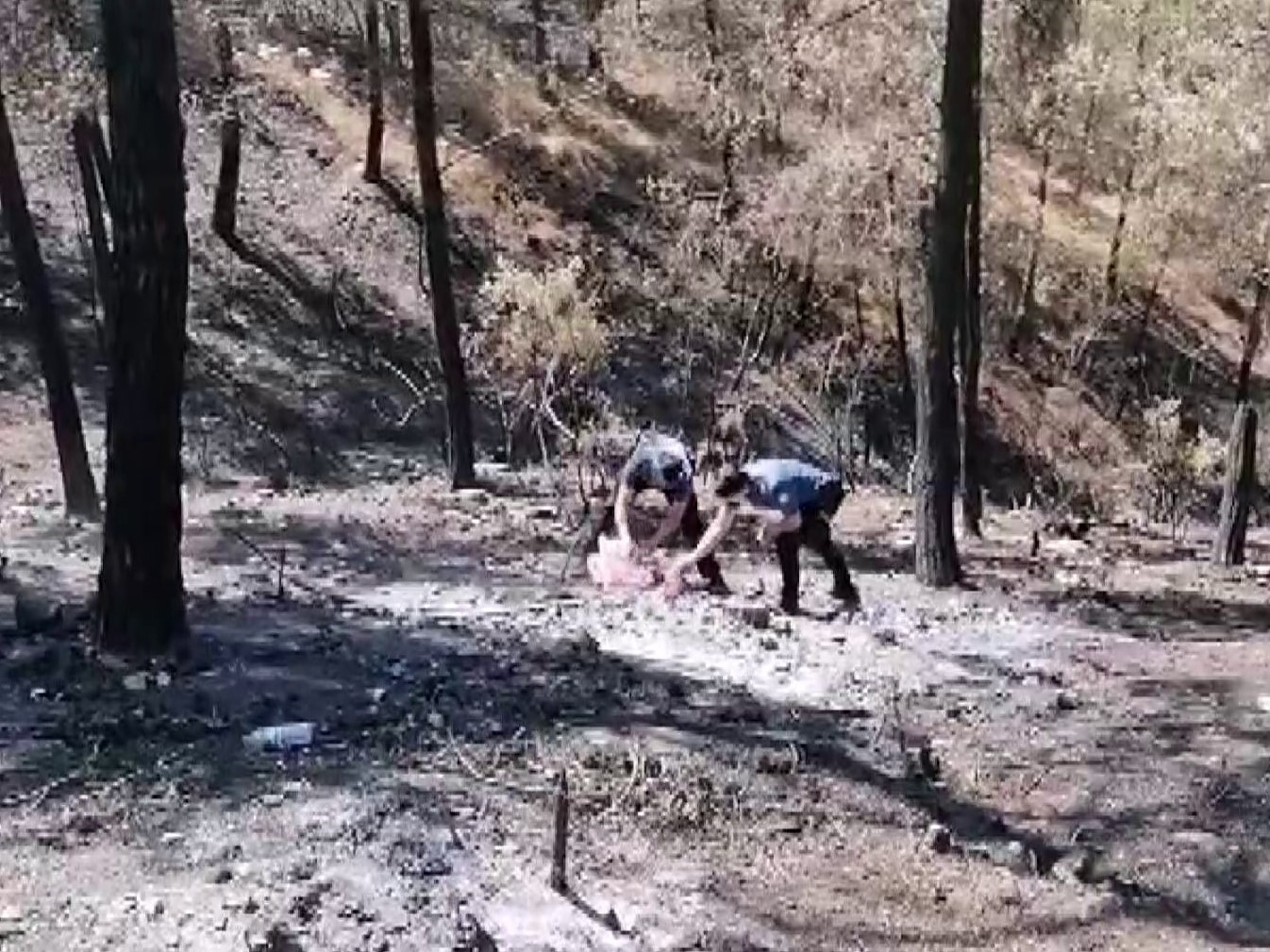 Geyve’de 5 gün sonra aynı nokta yeniden alevlendi: Yangına ilk müdahaleyi polisler yaptı 