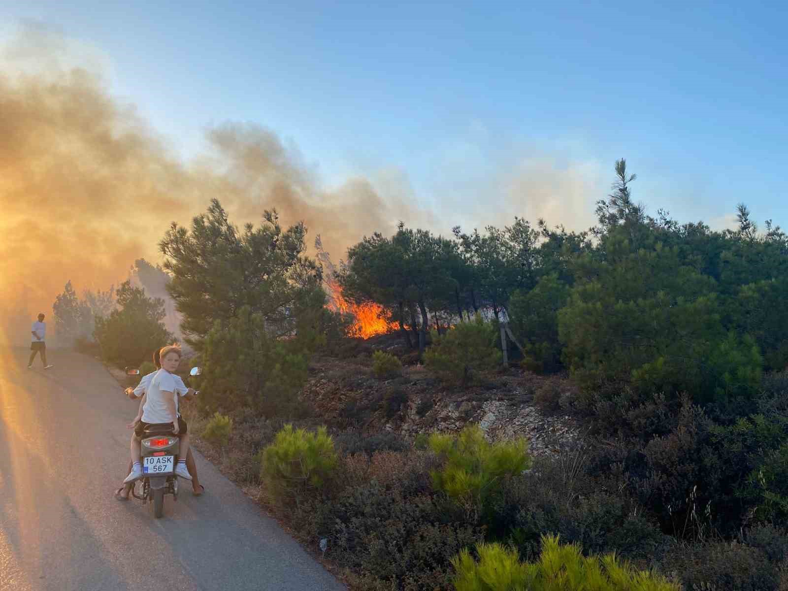 Cunda Adası’ndaki orman yangını büyümeden söndürüldü