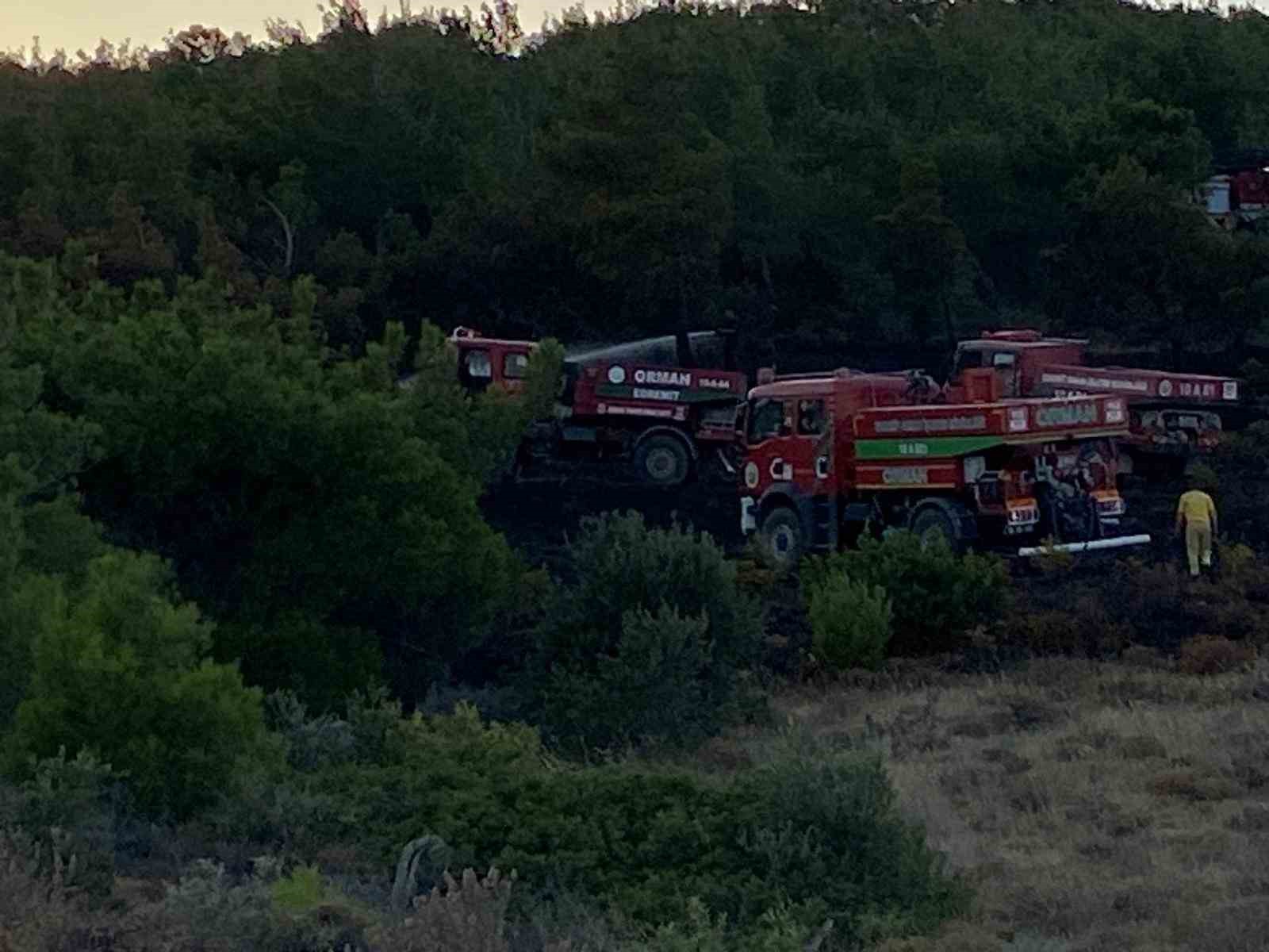 Cunda Adası’ndaki orman yangını büyümeden söndürüldü 