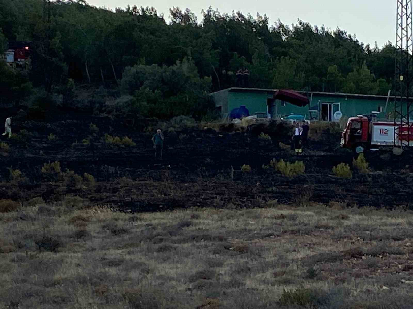Cunda Adası’ndaki orman yangını büyümeden söndürüldü 