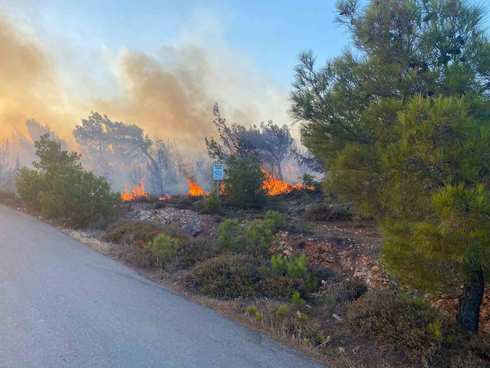 Cunda Adası’ndaki orman yangını büyümeden söndürüldü 