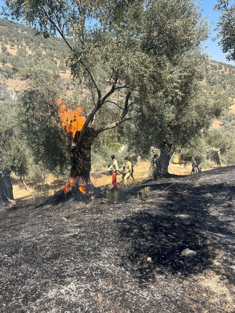 Aydın Büyükşehir İtfaiyesi 2 günde 55 yangına müdahale etti 