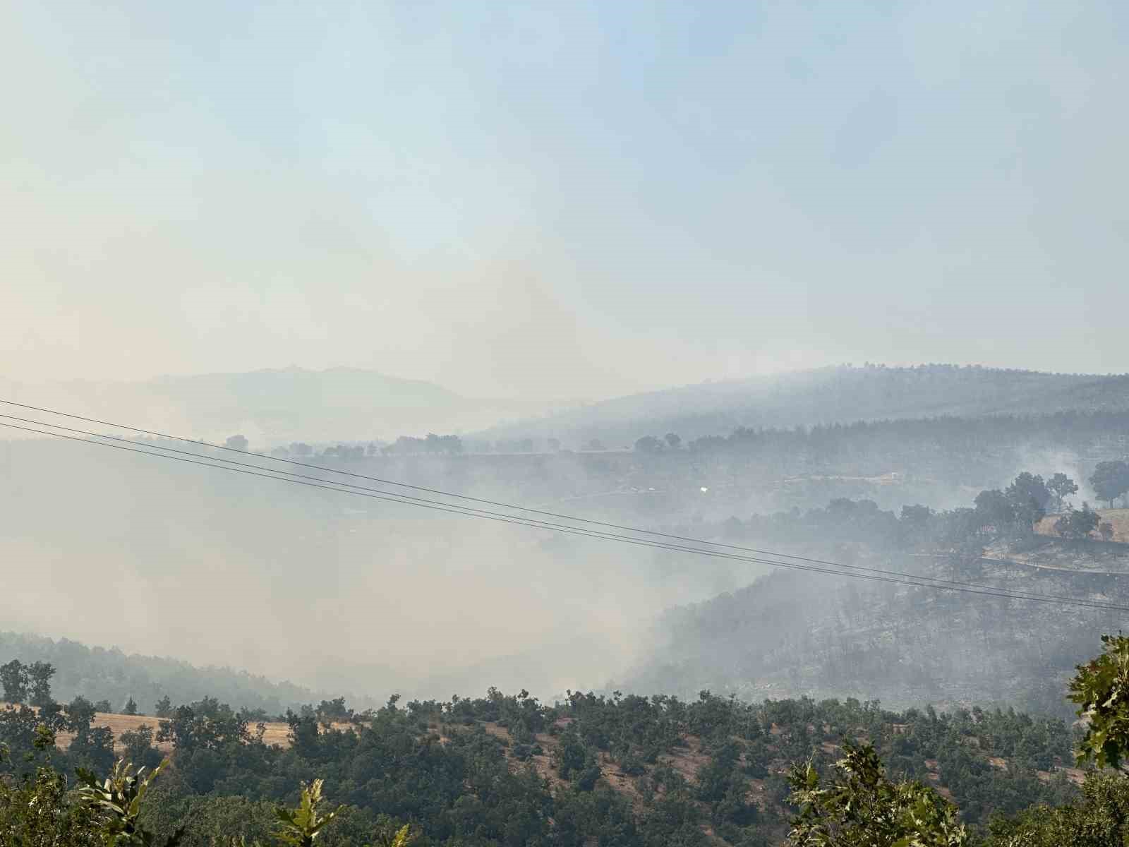 Uşak’taki meşelik alandaki yangına karadan müdahale devam ediyor 