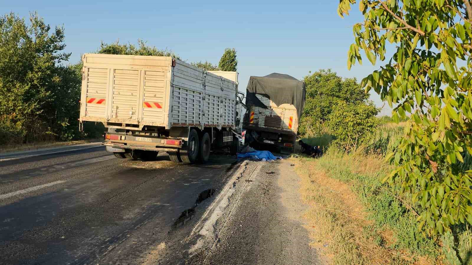 Kamyonundaki arızayı kontrol için inen sürücü başka bir kamyonun altında kaldı 
