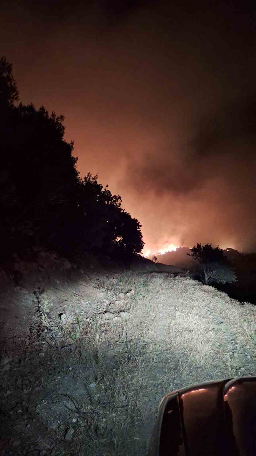 Manisa’nın Köprübaşı ilçesinde de orman yangını başladı