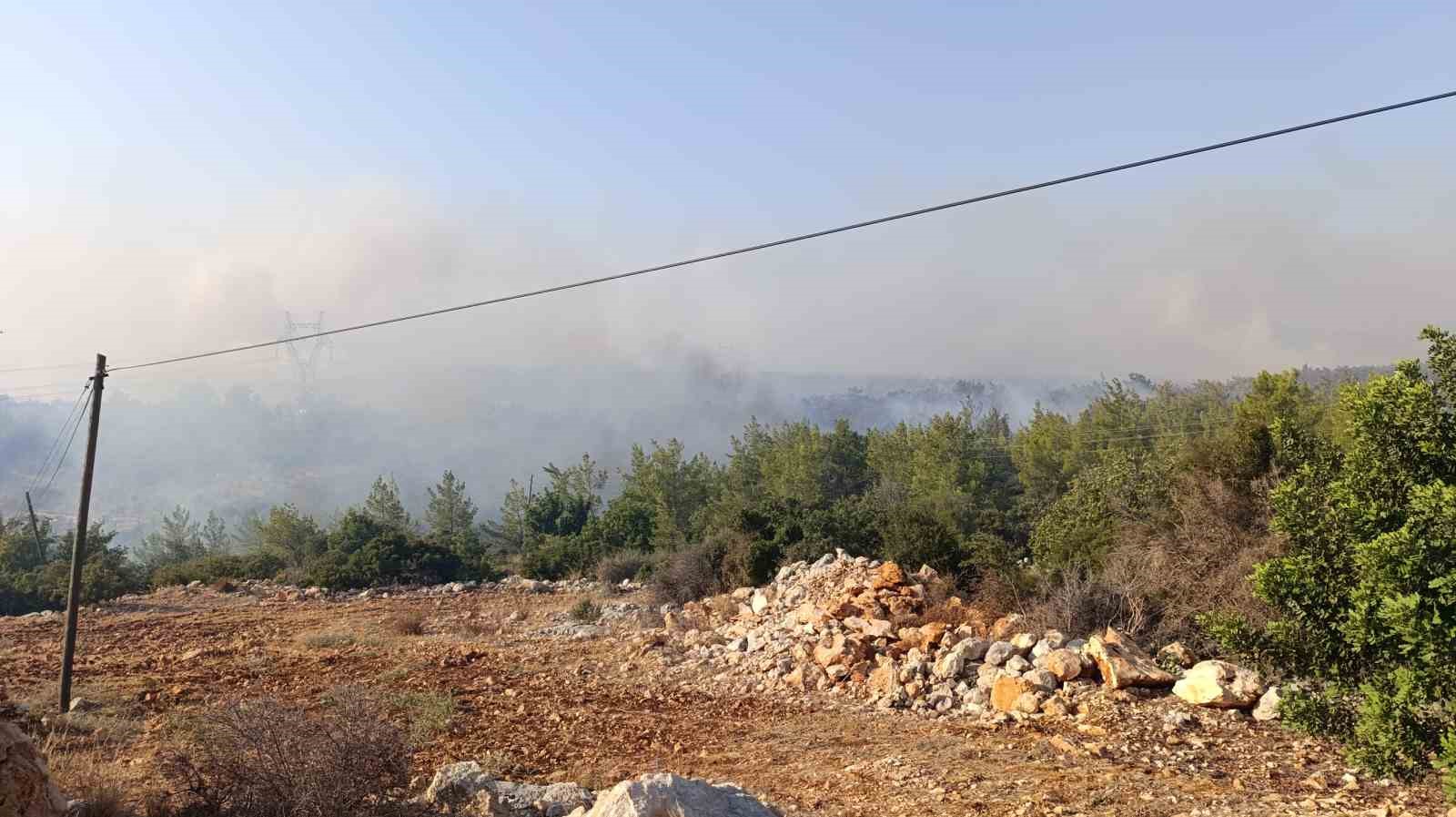 Mersin’deki orman yangını: Havadan müdahale başladı 