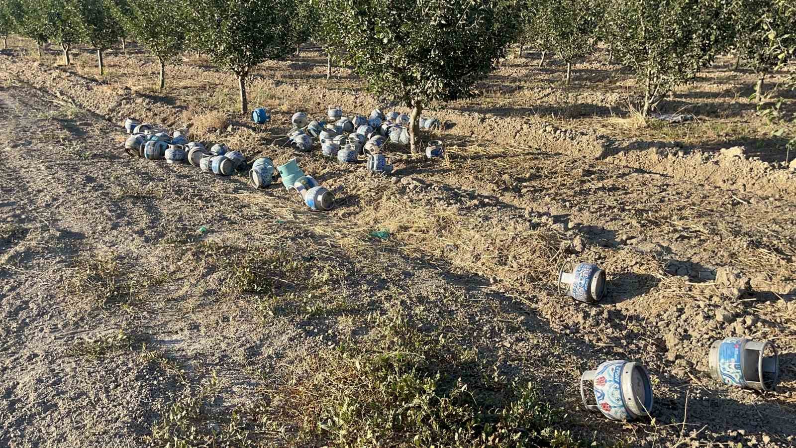 (ÖZEL) Yangından dolayı boşaltılan köyde 