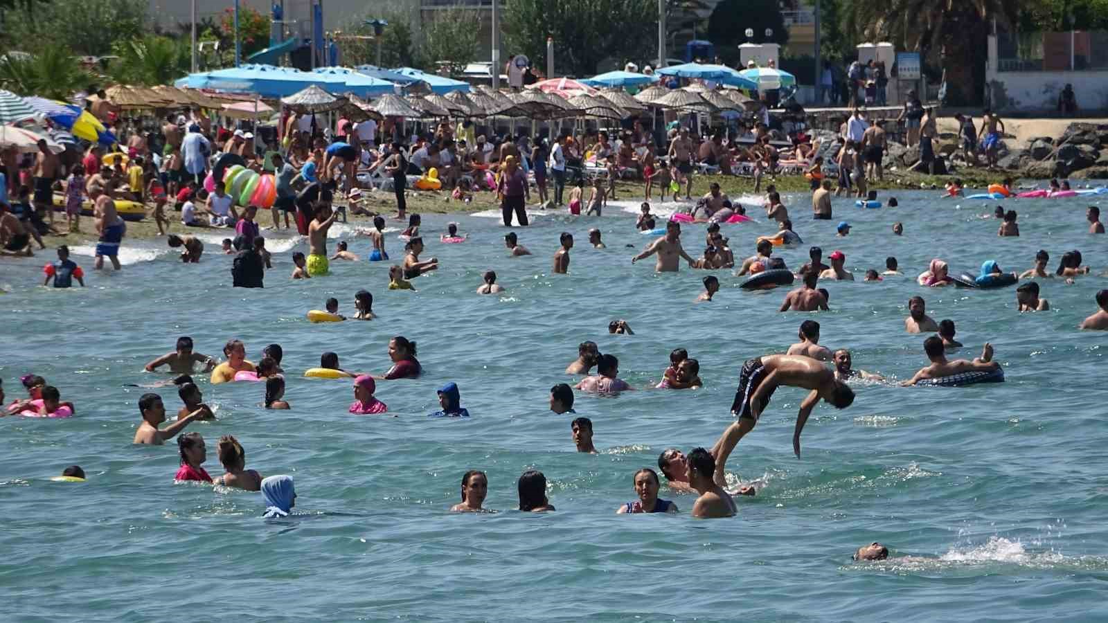 Bursa sahillerinden sevindiren haber 