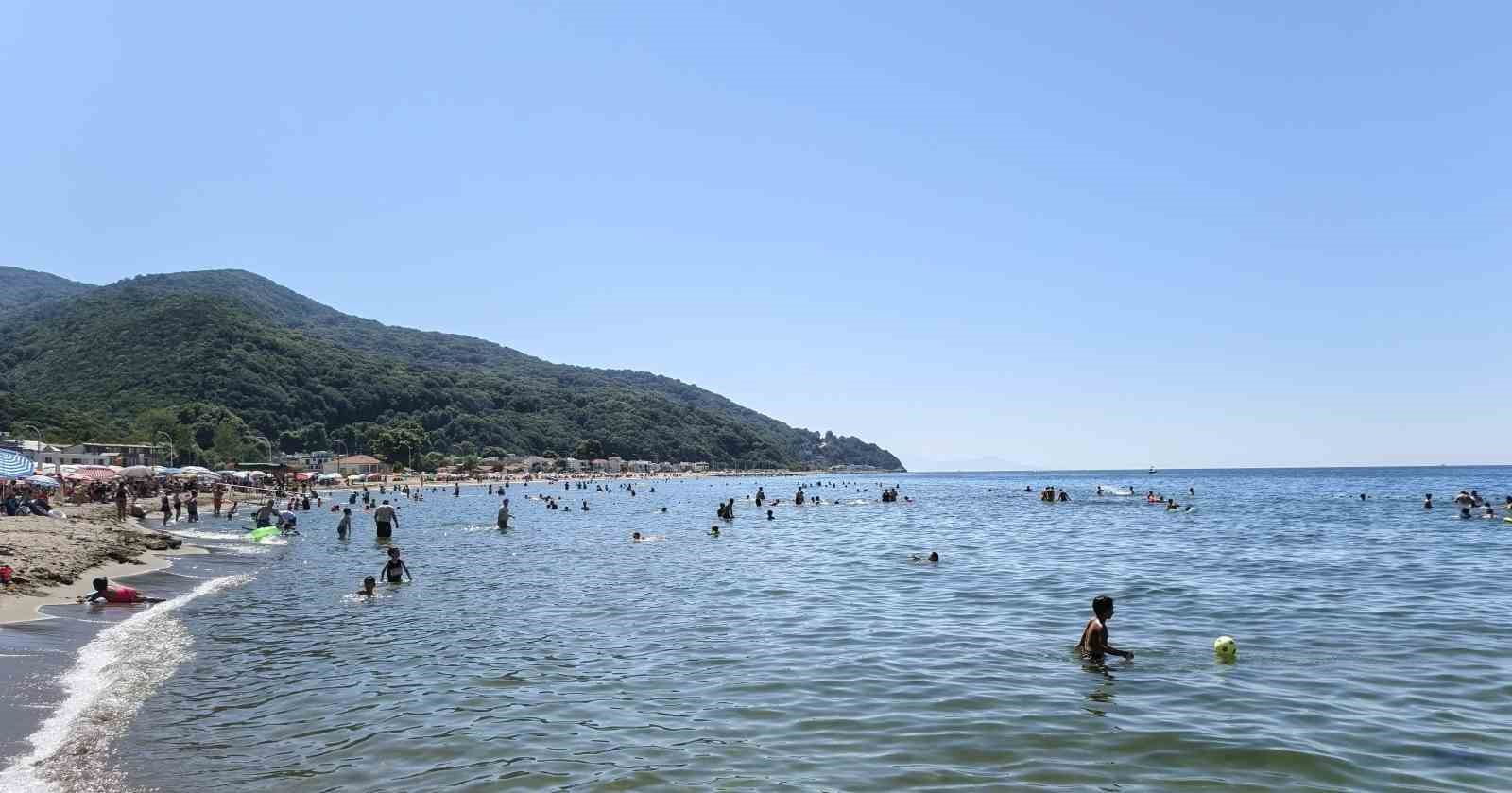 Bursa sahillerinden sevindiren haber 