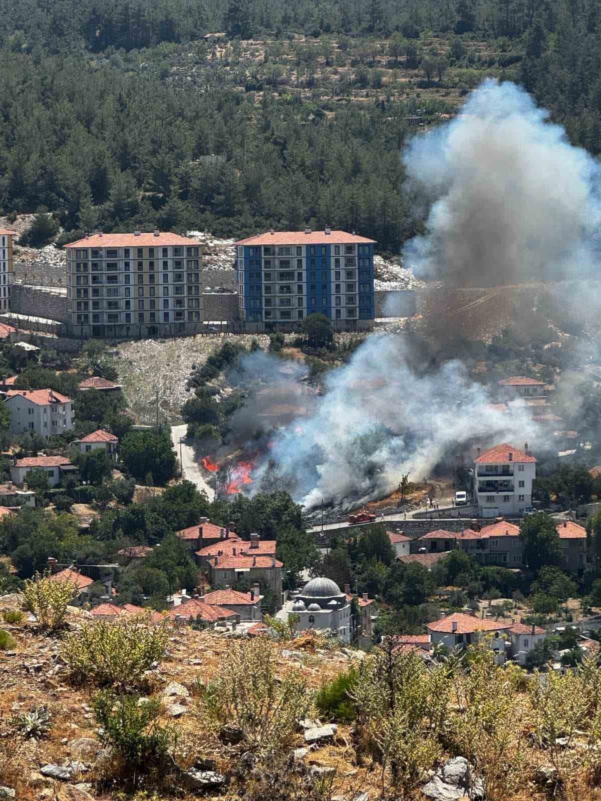 Kavaklıdere ilçe merkezindeki yangın büyümeden kontrol altına alındı 