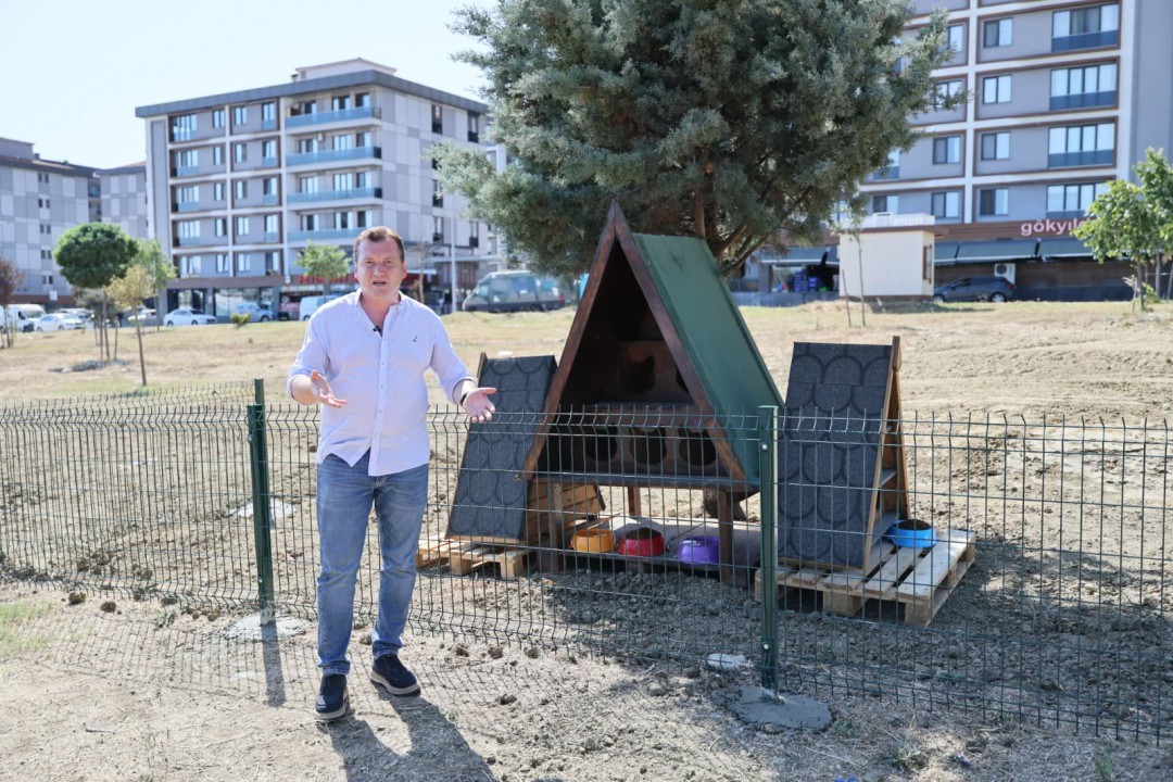 Silivri Belediyesi’nden sokak kedileri için yeni ve güvenli kedi evleri 