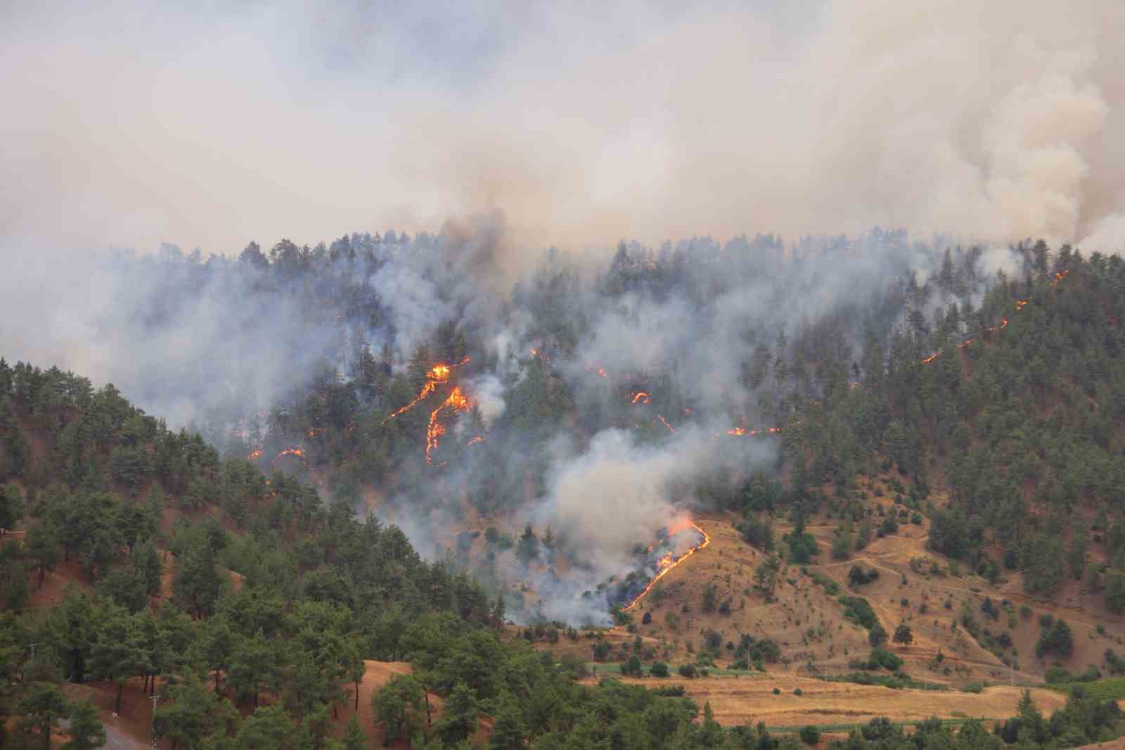 Kahramanmaraş’ta yangına havadan karadan müdahale sürüyor 