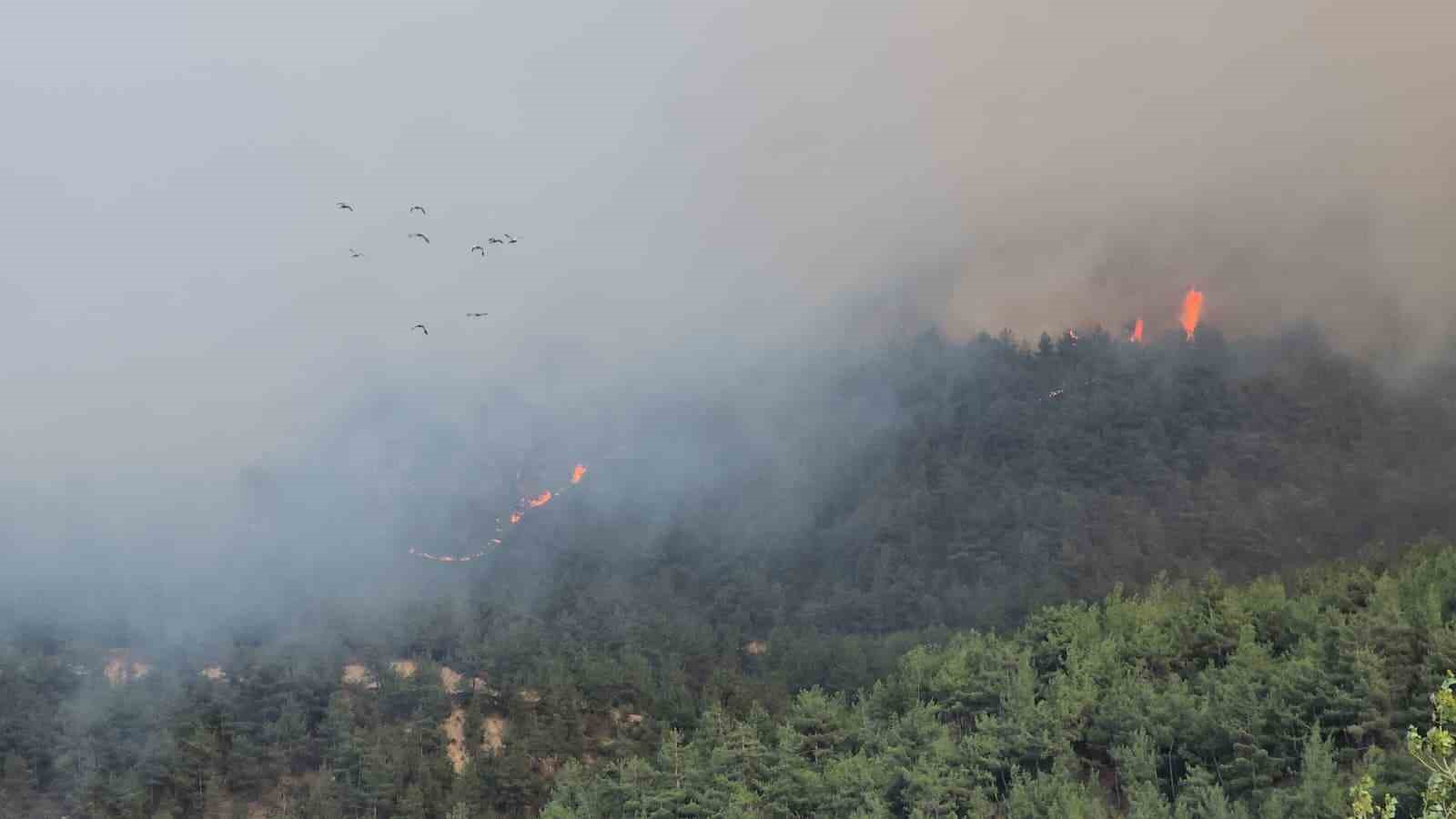 Karabük’te orman yangını 78. saatinde: Sarp arazide helikopterle müdahale sürüyor 