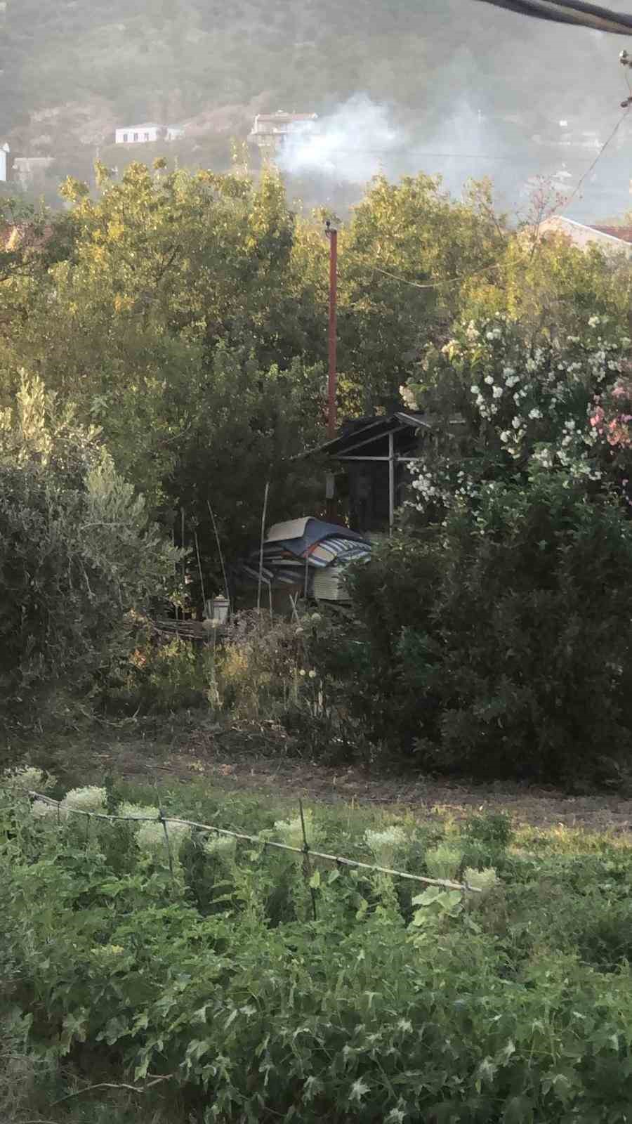 Datça’da kuru ot yangını korkuttu 