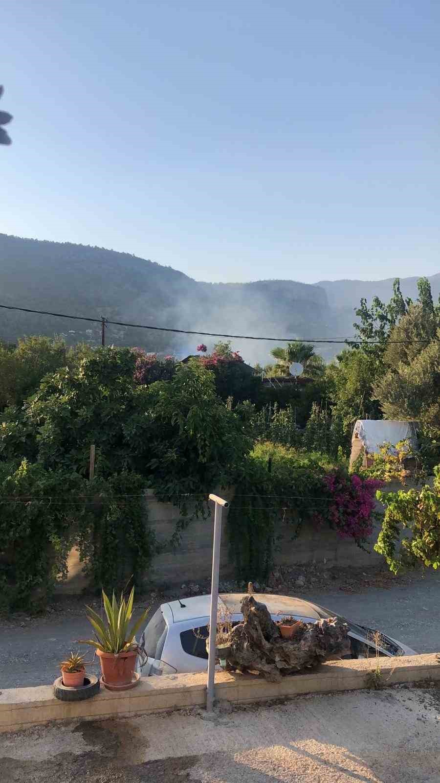 Datça’da kuru ot yangını korkuttu 