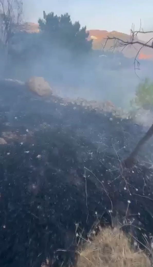 Datça’da kuru ot yangını korkuttu 
